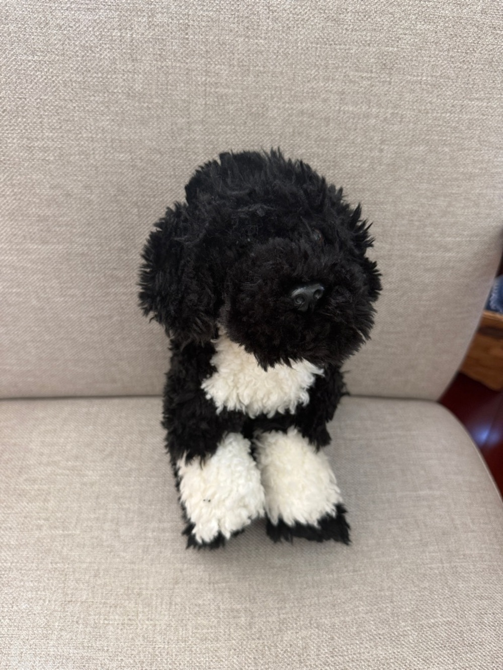 Webkinz GANZ Black Puppy